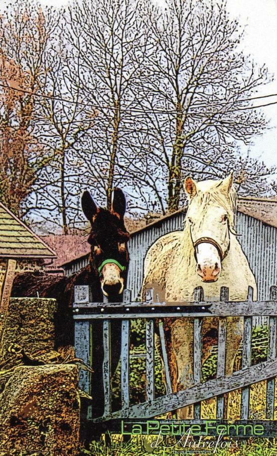 Petite Ferme D'Autrefois Villa Saint-Georges-Nigremont Luaran gambar