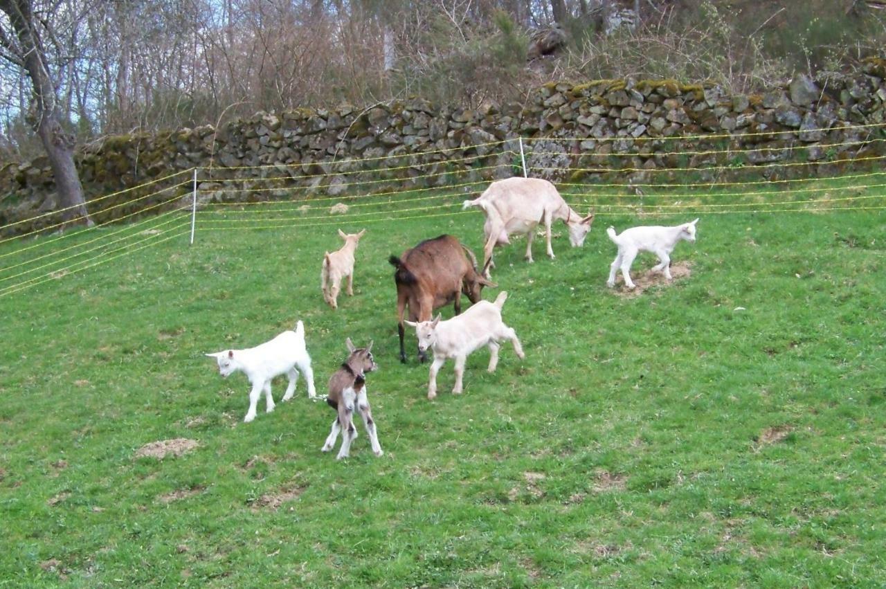 Petite Ferme D'Autrefois Villa Saint-Georges-Nigremont Luaran gambar